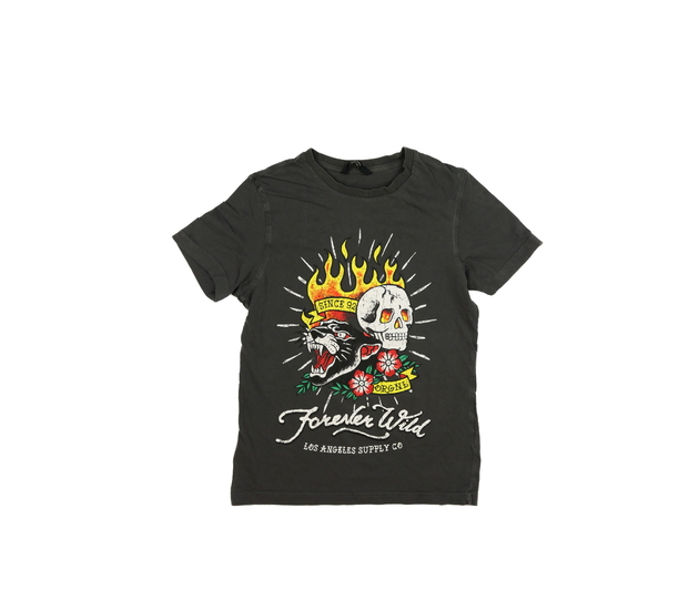 Šedé stylové triko s lebkou George