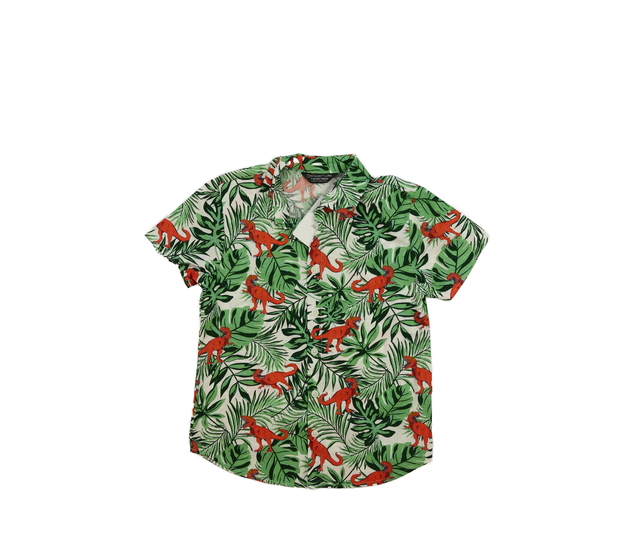 Nová světlá dinosauří košile Primark 