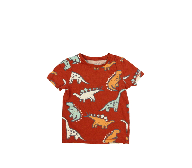 Hnědé triko s dinosaury George