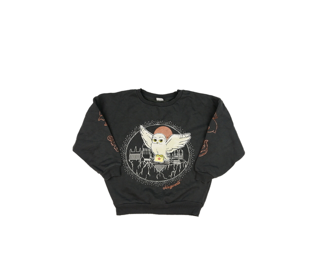 Šedá mikina Harry Potter Tu