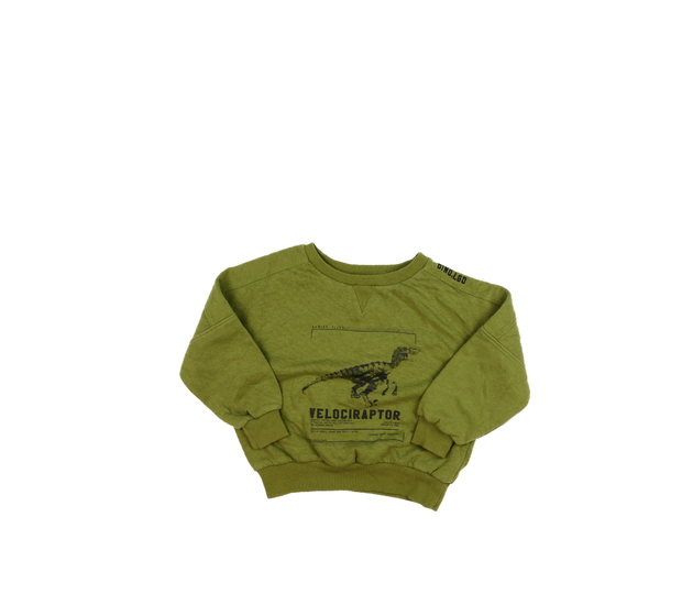 Zelená mikina s dinosaurem Firetrap