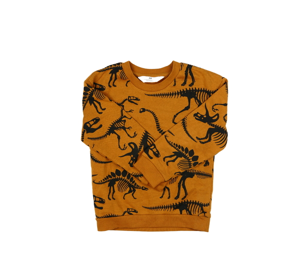 Hnědá mikina s dinosaury H&M