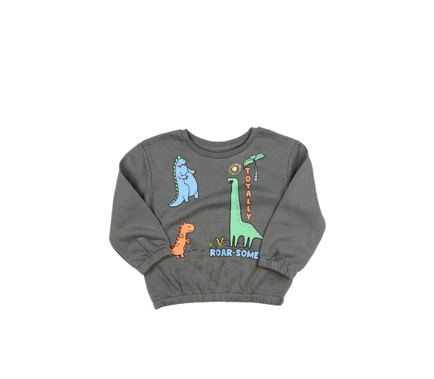 Šedá dinosauří mikina Primark 